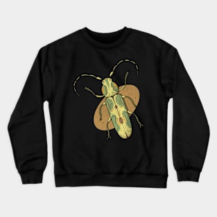 Coleoptera insect illustration 4 Crewneck Sweatshirt